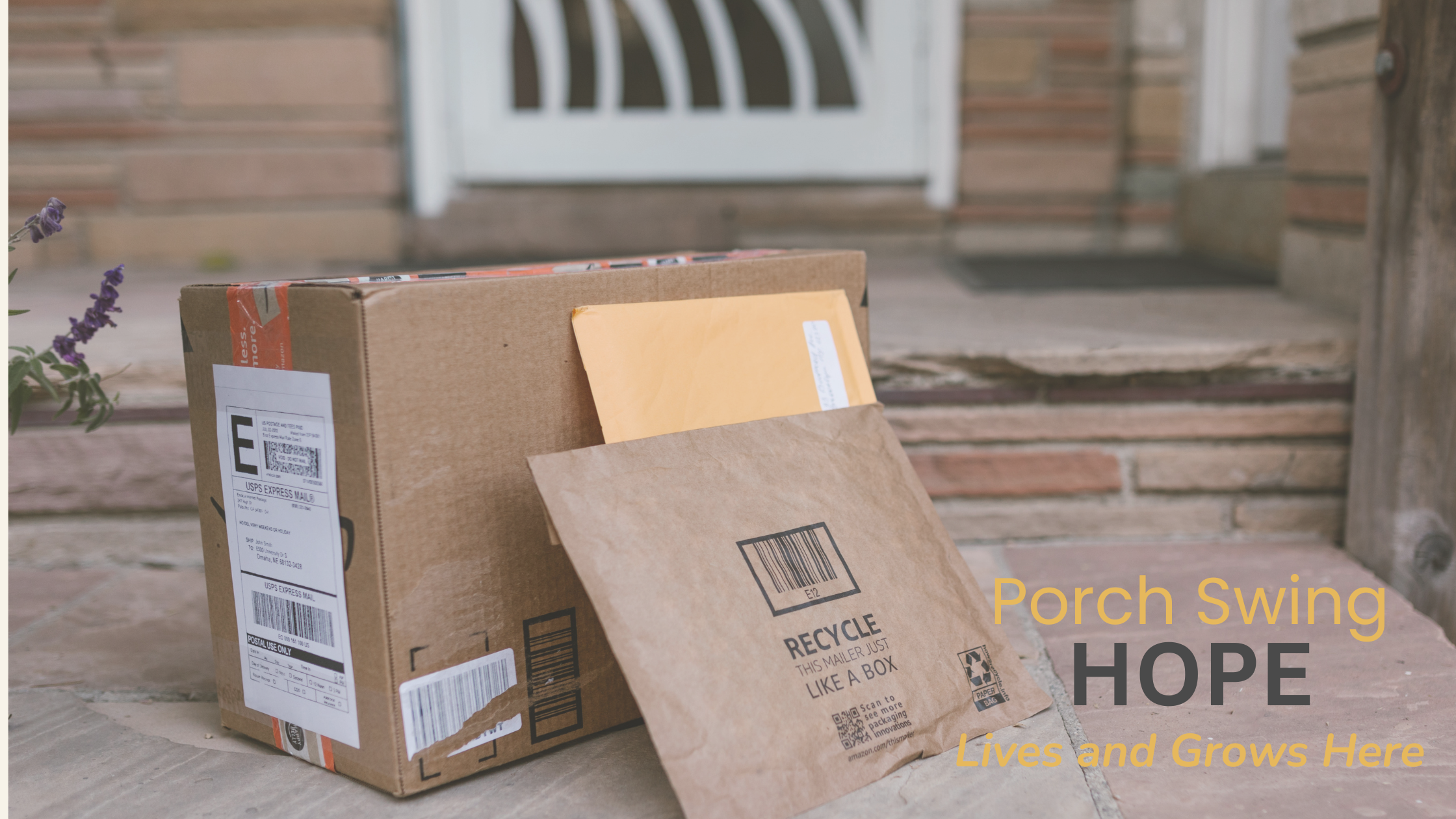 porch essentials, microgreen kits, microgreen seeds, shop, roadmap rebellion, business course, ethical business course, business course that works