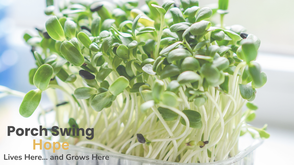 microgreens, microgreen gardening, growing microgreens, how to grow microgreens, microgreen growing guide