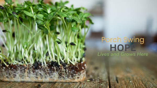 microgreens, growing microgreens, porch swing hope, overcoming loneliness, holding onto hope